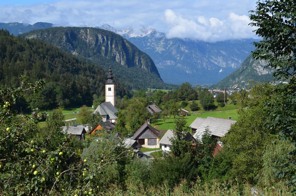 Apartment Brumec Bohinj Rum bild