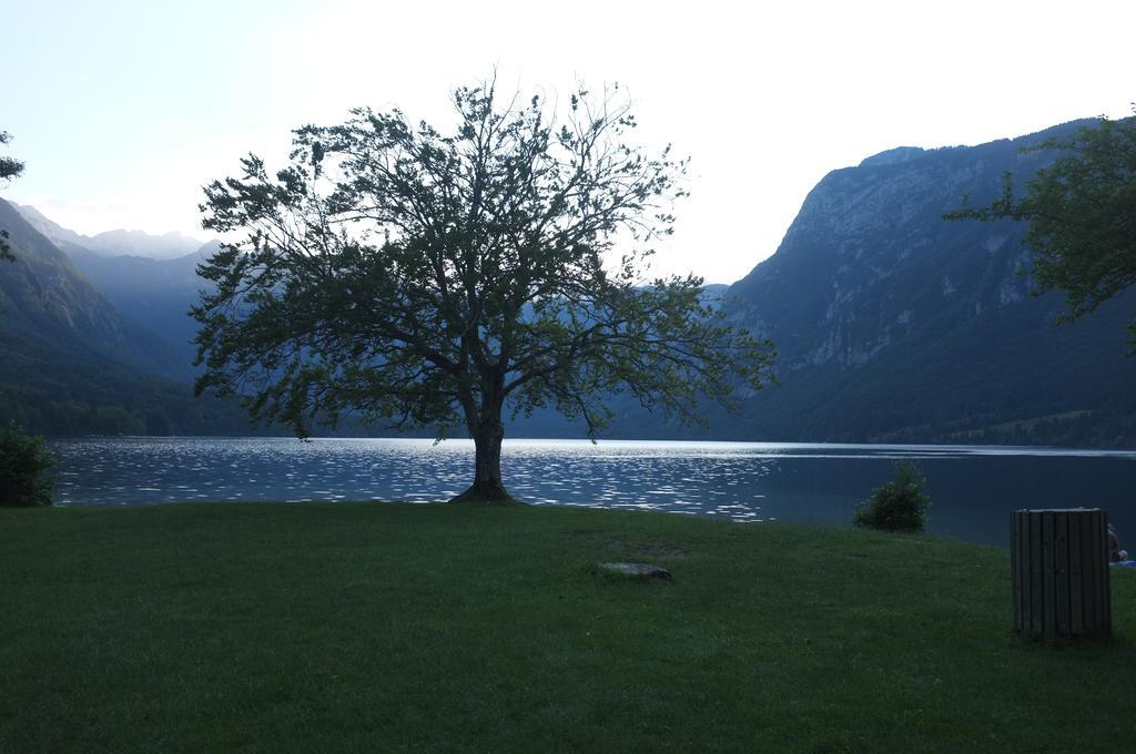 Apartment Brumec Bohinj Exteriör bild
